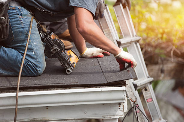 Best Roof Waterproofing Services  in Waynesville, OH
