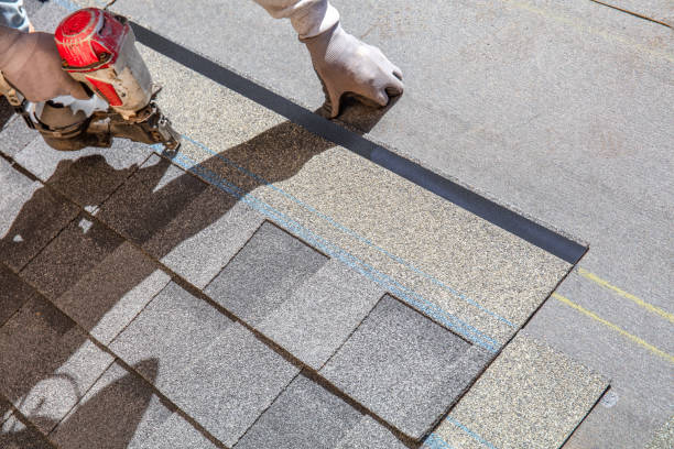 Best Gutter Installation and Roofing  in Waynesville, OH
